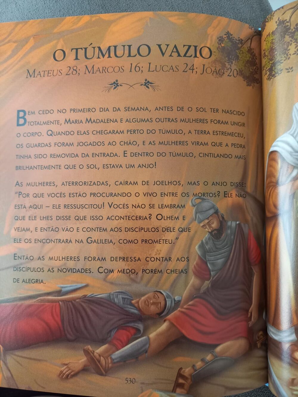 Bíblia Ilustrada da Família